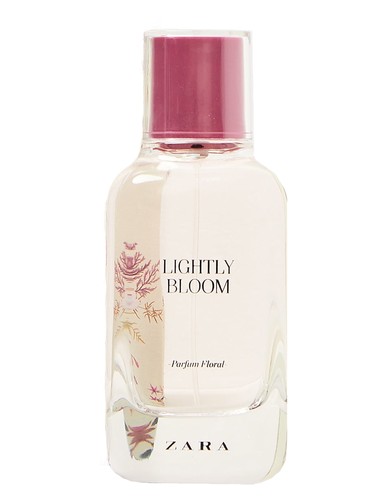 Lightly Bloom