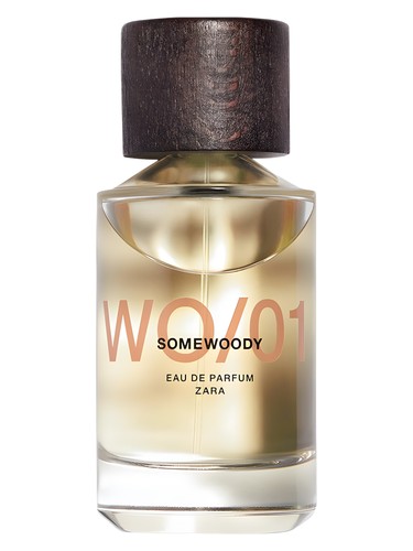 Wo 01 Somewoody