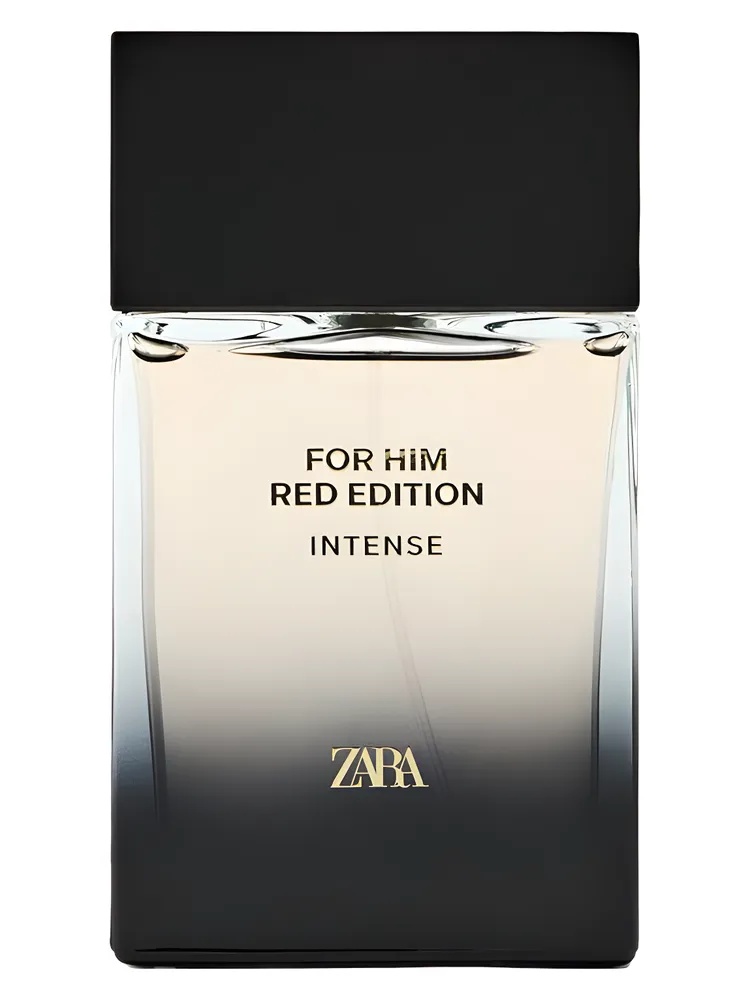 Zara for Him Silver Edition